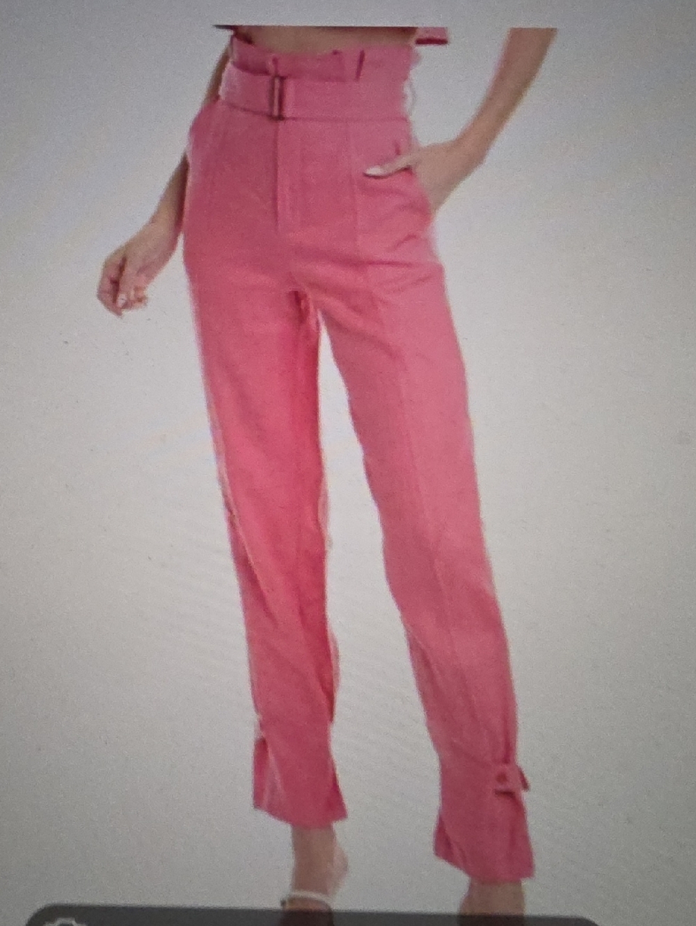 HEVRON Leona Pants In Bublegum Size 2 $398